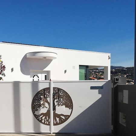 The Tree Of Life House Hotel Ponta do Sol  Exterior photo